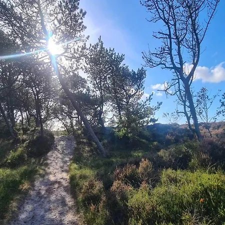 Ferienhaus 6 Person In Romo-by Traum *