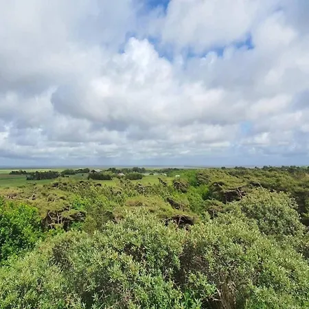 6 Person In Romo-by Traum Semesterbostad