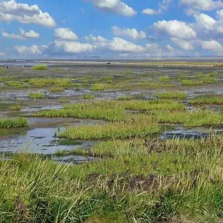 6 Person In Romo-by Traum Semesterbostad Toftum (Syddanmark)