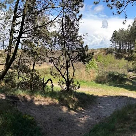 Semesterbostad 6 Person In Romo-by Traum