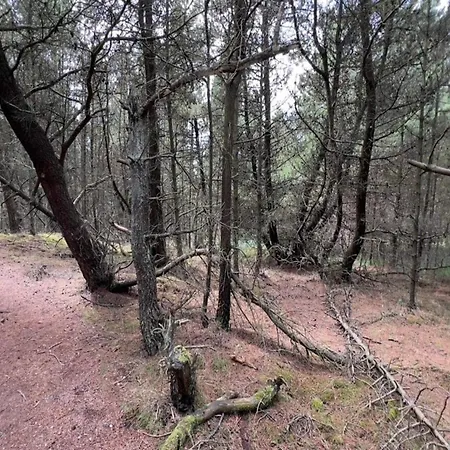 Semesterbostad 6 Person In Romo-by Traum Toftum (Syddanmark)