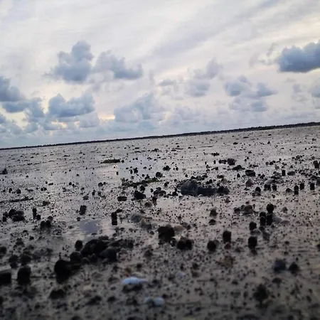 6 Person In Romo-by Traum *