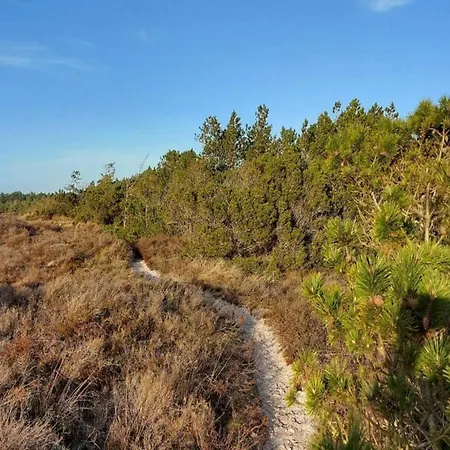 Ferienhaus 6 Person In Romo-by Traum