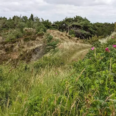 6 Person In Romo-by Traum Semesterbostad Toftum (Syddanmark)