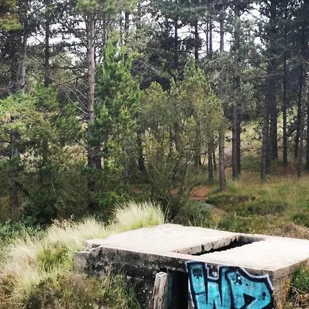 Ferienhaus 6 Person In Romo-by Traum Toftum (Syddanmark)