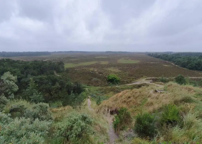 Дом отдыха 6 Person In Romo-by Traum