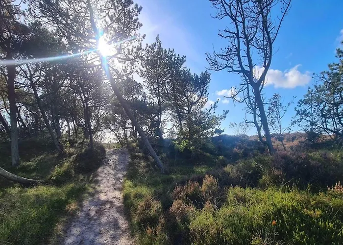 Дом отдыха 6 Person In Romo-by Traum *