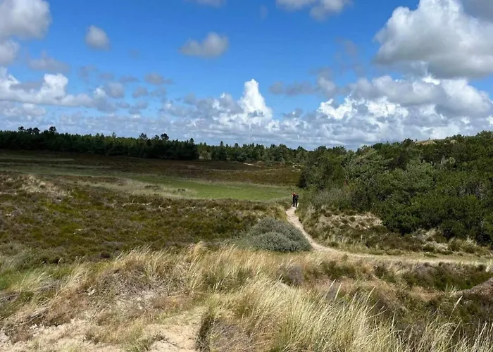 6 Person In Romo-by Traum *