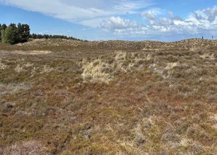 Дом отдыха 6 Person In Romo-by Traum