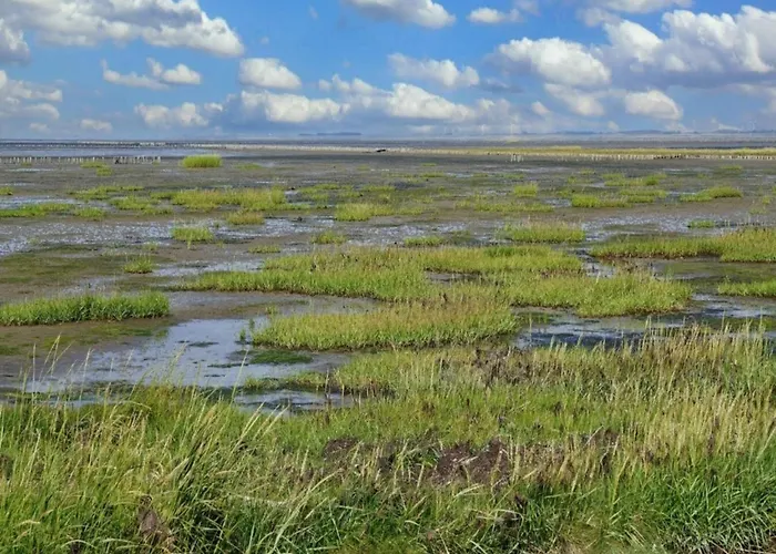 6 Person In Romo-by Traum Дом отдыха Toftum (Syddanmark)