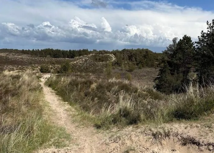 6 Person In Romo-by Traum Дом отдыха *