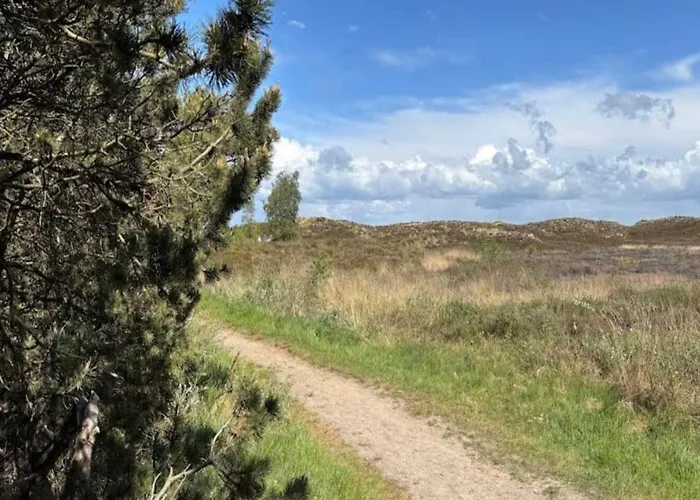 6 Person In Romo-by Traum