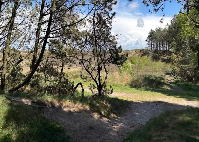 Дом отдыха 6 Person In Romo-by Traum