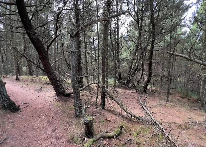 Дом отдыха 6 Person In Romo-by Traum Toftum (Syddanmark)