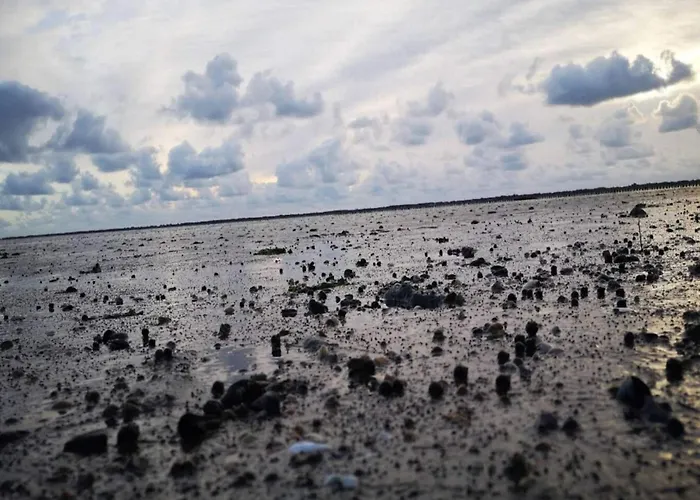 6 Person In Romo-by Traum *