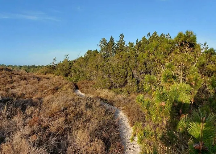 Дом отдыха 6 Person In Romo-by Traum