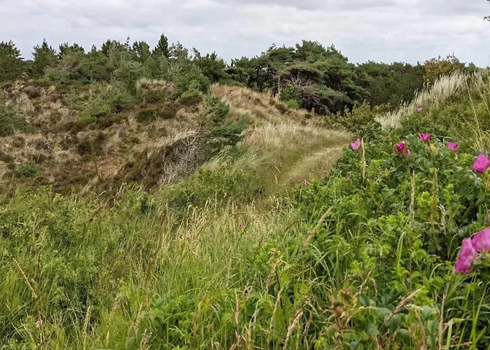 6 Person In Romo-by Traum Дом отдыха Toftum (Syddanmark)