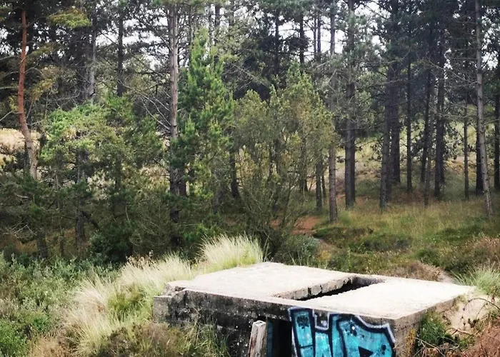 Дом отдыха 6 Person In Romo-by Traum Toftum (Syddanmark)